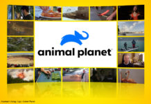 Logo Animal Planet