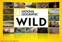 Logo National Geographic Wild