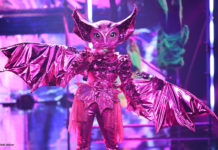 The Masked Singer Fledermaus