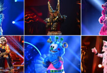 The Masked Singer: Finale am 24.11.2020