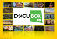 Logo: DocuBox