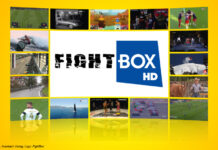 Logo: FightBox