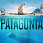 Logo Patagonia