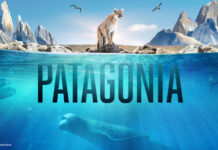 Logo Patagonia