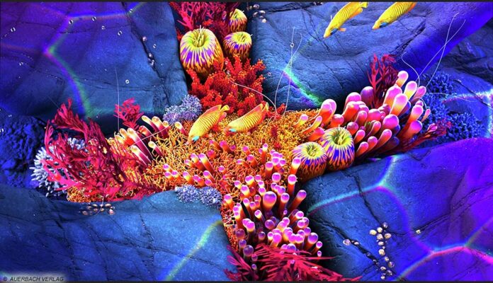 Titelbild zum Test des Philips OLED937 mit fluoreszierenden Fischen und Korallen vor einem violett leuchtenden Hintergrund