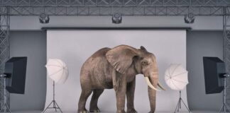 Gewalt und Machtmissbrauch am Filmset wie im Fall Til Schweiger - der Elefant im Raum