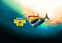 Shark Week Logo mit Hai