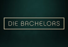 Die Bachelors Logo