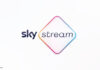 Sky Stream Logo