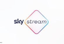 Sky Stream Logo