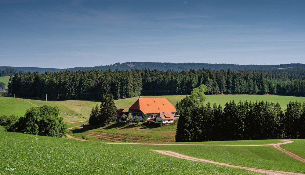 "Die Faller", Schwarzwald-Serie