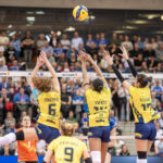 Volleyball Frauen Bundesliga