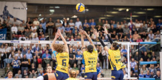 Volleyball Frauen Bundesliga