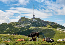 Radio Funkturm Österreich Alpen