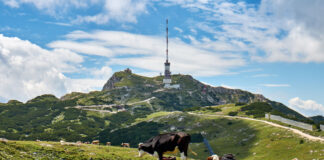 Radio Funkturm Österreich Alpen