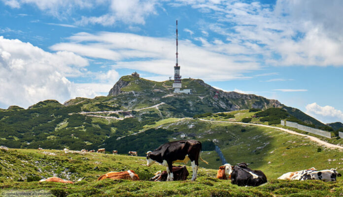 Radio Funkturm Österreich Alpen