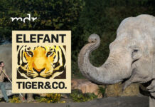 Elefant Tiger & Co. im MDR