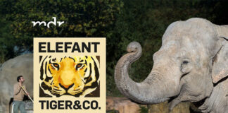 Elefant Tiger & Co. im MDR