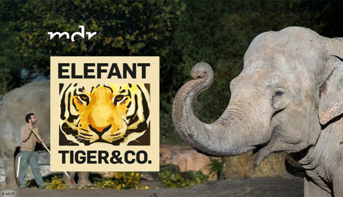 Elefant Tiger & Co. im MDR