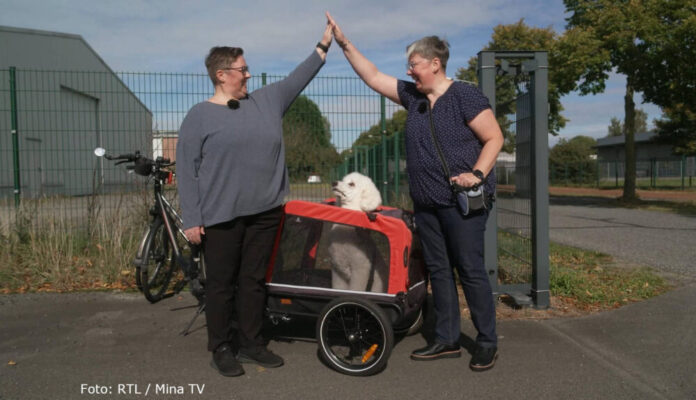 Der Hundeprofi - Rütters Team 2025